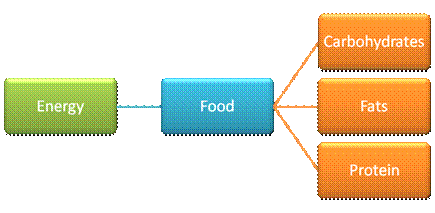 Diagram showing sources of energy:  Food (carbohydrates, fats and protein).