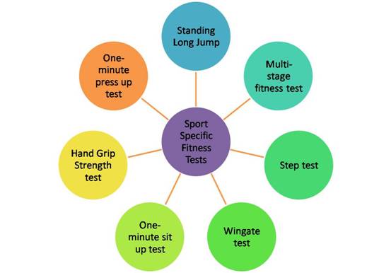 This is a picture showing some fitness tests used in sport science. 